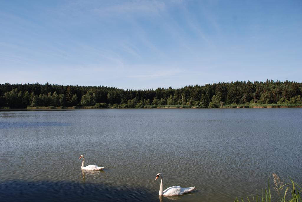 Penzion Staj Navary Lägenhet Exteriör bild