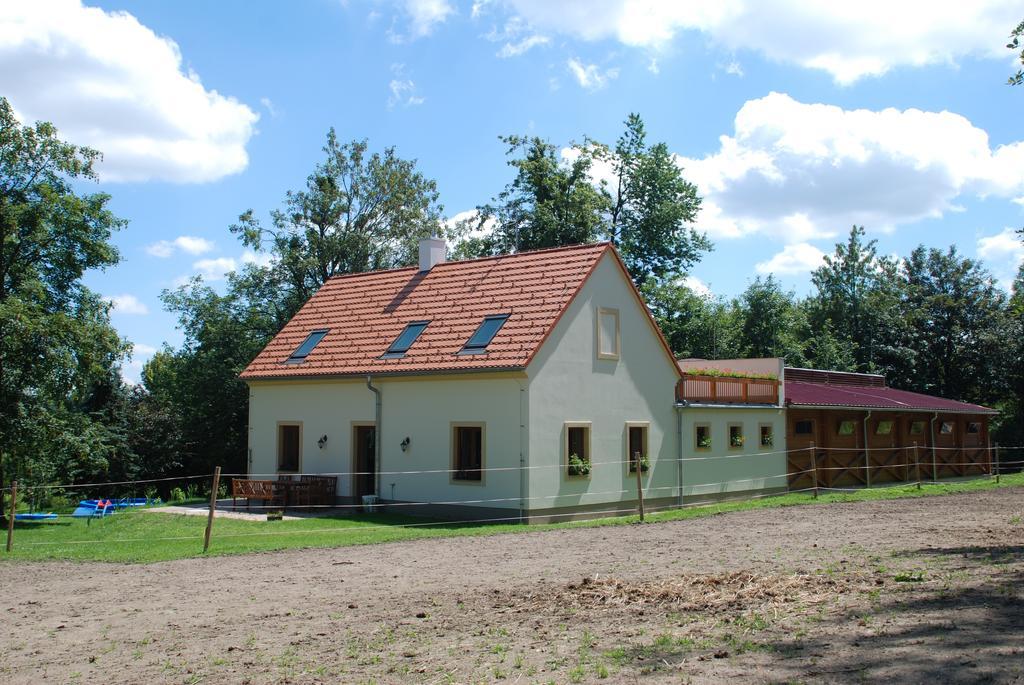 Penzion Staj Navary Lägenhet Exteriör bild